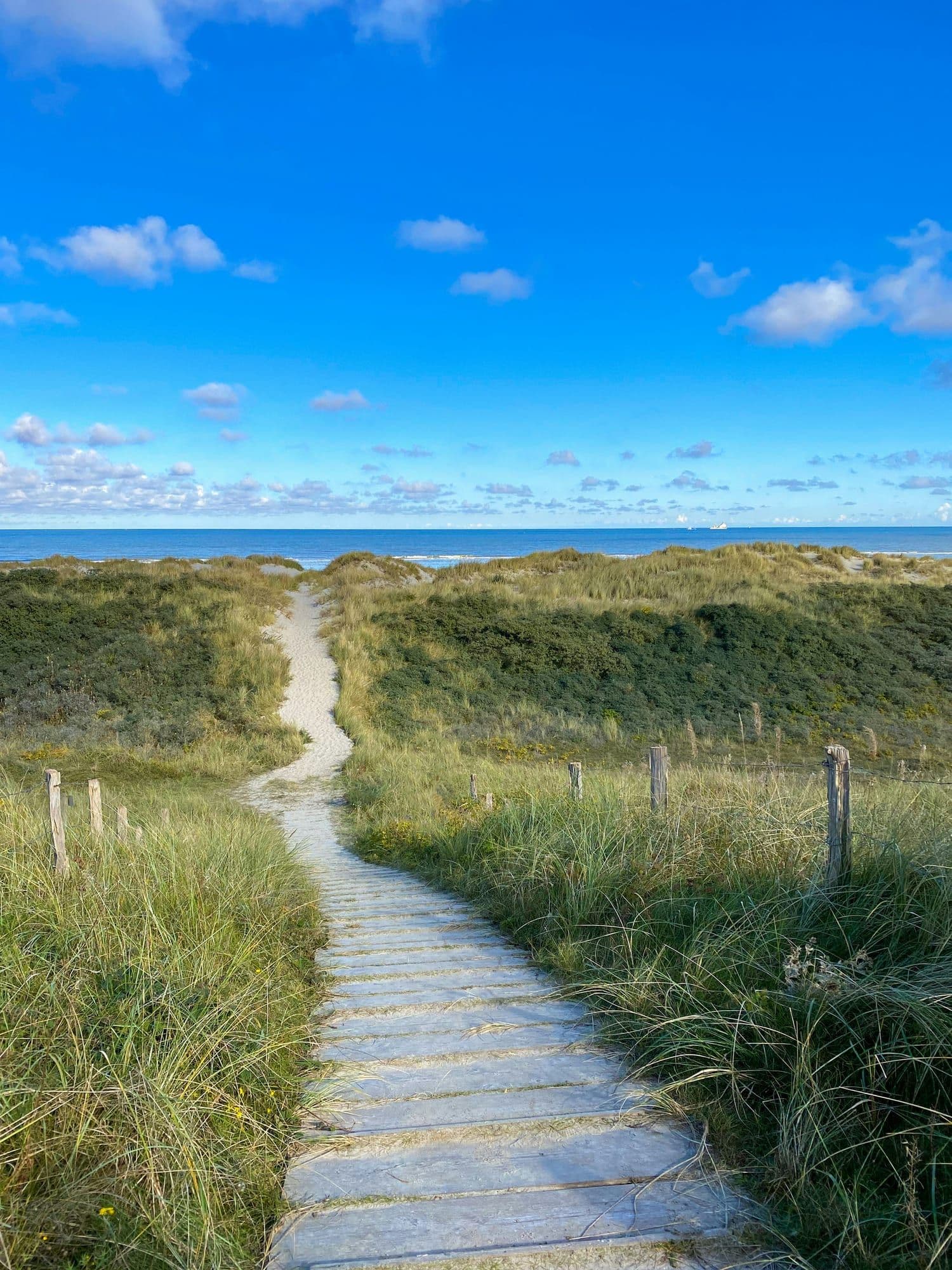 Dünenweg Wangerooge